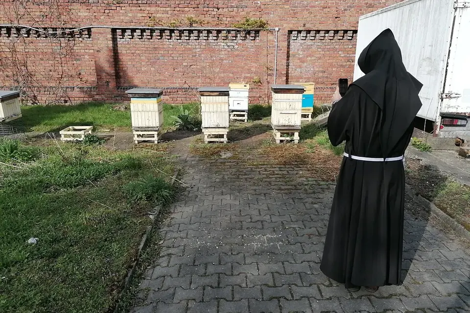 Cinq ruches blanches alignées le long d'un mur de briques dans un jardin clos, une allée pavée au premier plan